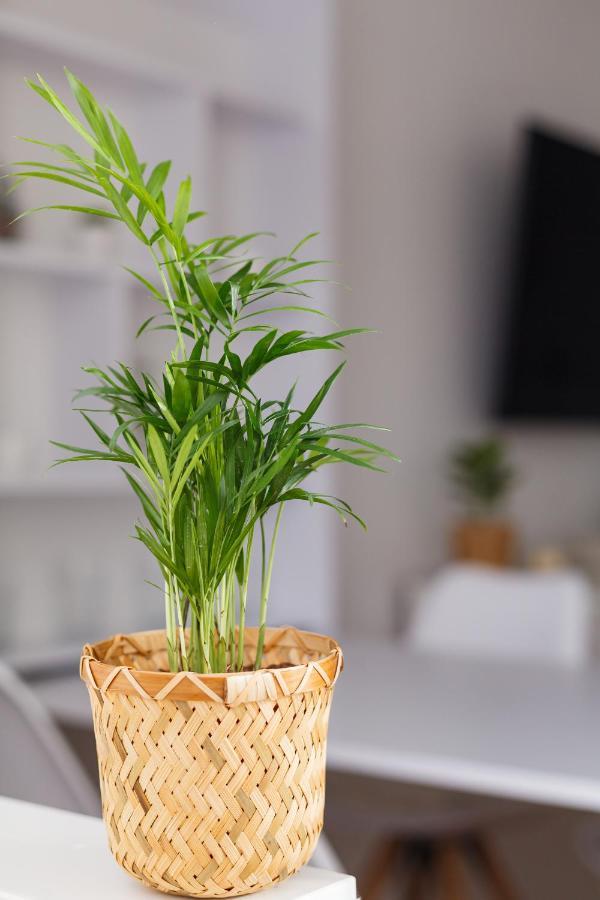 Design Apartment / 2 Room / Central / Contactless Check-In Hannover Ngoại thất bức ảnh